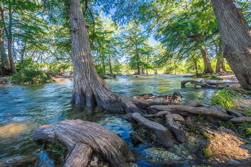 River Bluff Cabins Rio Frio エクステリア 写真